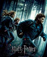 Harry Potter and the Deathly Hallows: Part 1 /     :  1